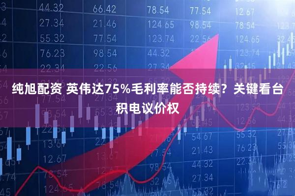 纯旭配资 英伟达75%毛利率能否持续？关键看台积电议价权