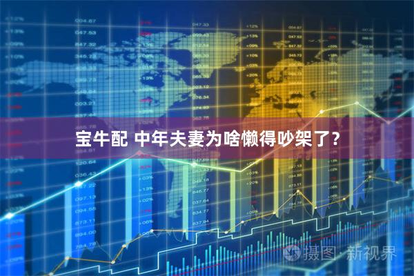 宝牛配 中年夫妻为啥懒得吵架了？