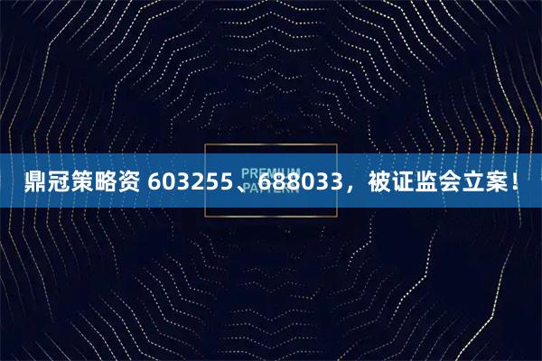 鼎冠策略资 603255、688033，被证监会立案！