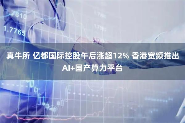 真牛所 亿都国际控股午后涨超12% 香港宽频推出AI+国产算力平台